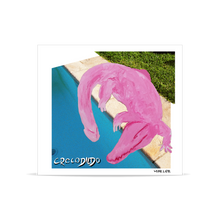 Carregar imagem no visualizador da galeria, CROCODILDO (CD)
